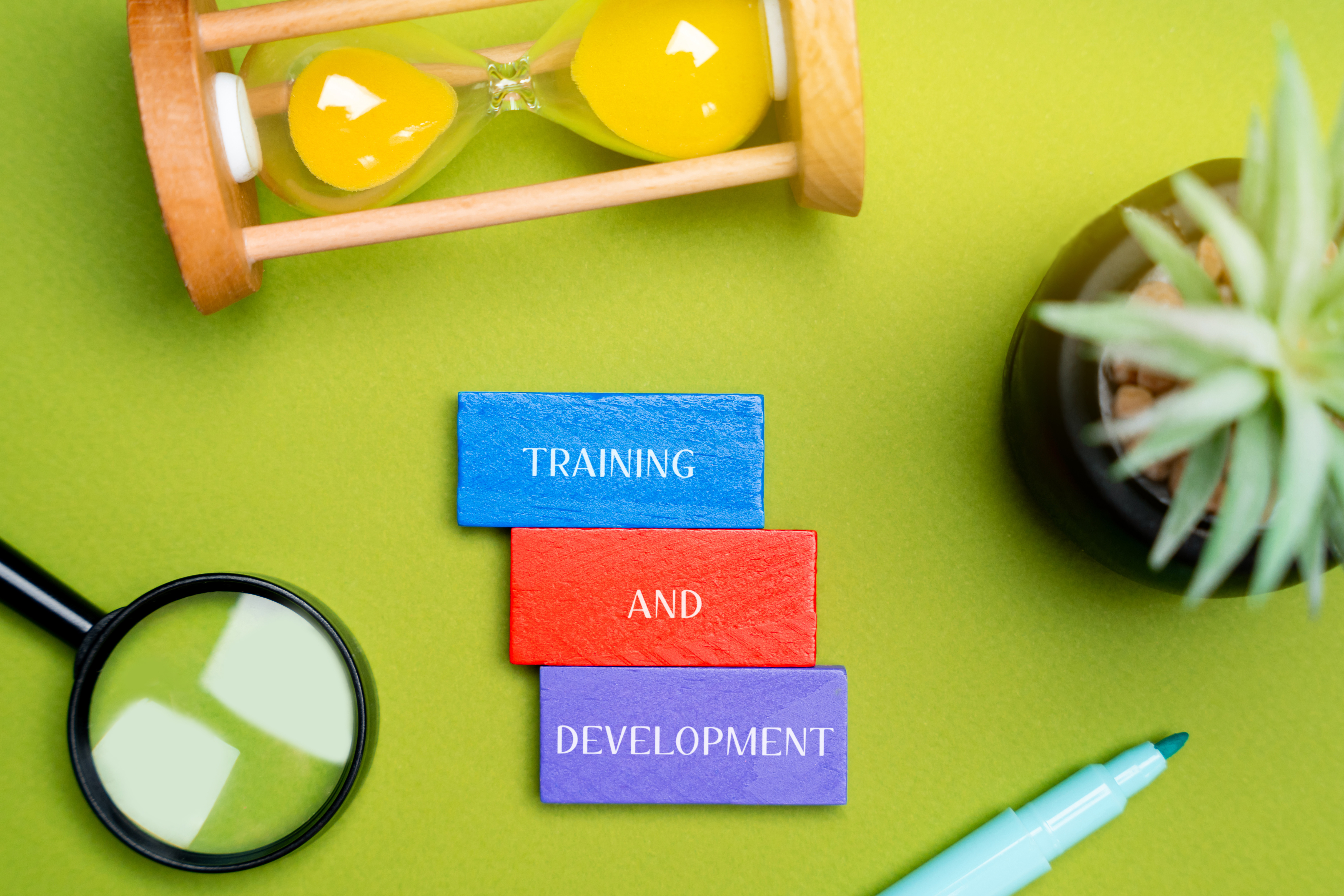 Agilidad Mental y Aprendizaje Continuo: Tu Motor de Desarrollo Profesional